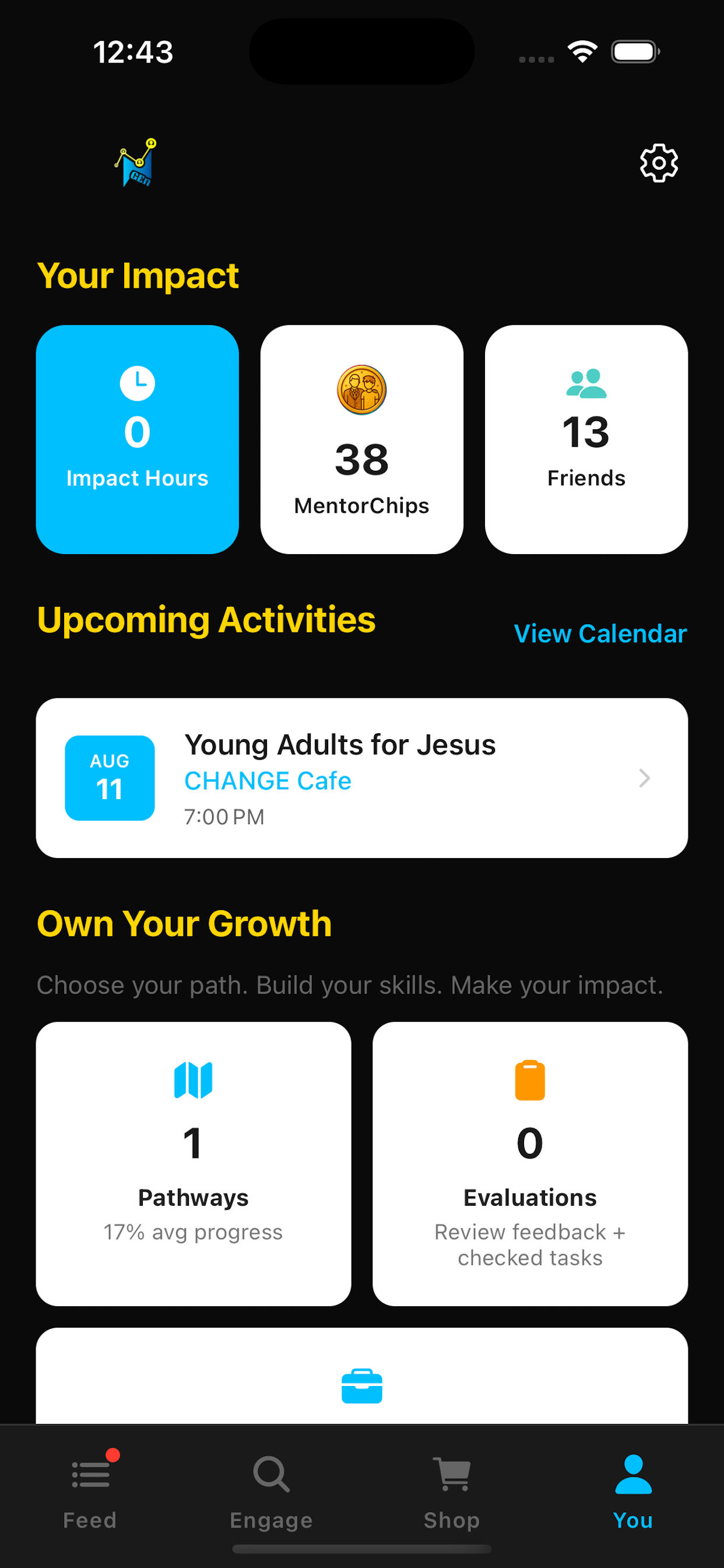 NGEN impact and growth dashboard with MentorChips, activities, and pathways